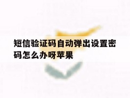 短信验证码自动弹出设置密码怎么办呀苹果