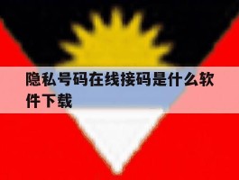隐私号码在线接码是什么软件下载