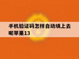 手机验证码怎样自动填上去呢苹果13