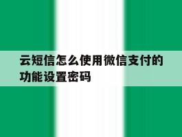 云短信怎么使用微信支付的功能设置密码