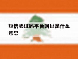 短信验证码平台网址是什么意思