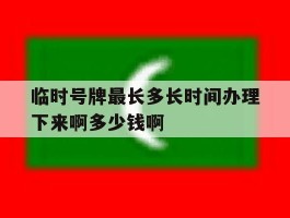 关于临时号牌最长多长时间办理下来啊多少钱啊的信息