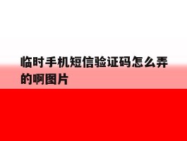 临时手机短信验证码怎么弄的啊图片