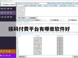 接码付费平台有哪些软件好