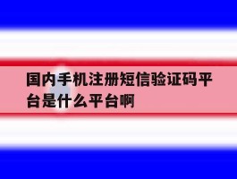 国内手机注册短信验证码平台是什么平台啊的简单介绍