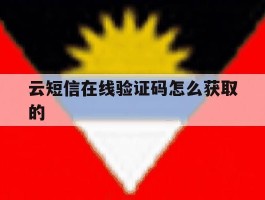 云短信在线验证码怎么获取的