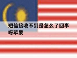 短信接收不到是怎么了回事呀苹果