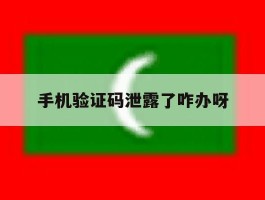 手机验证码泄露了咋办呀