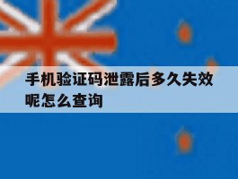 手机验证码泄露后多久失效呢怎么查询