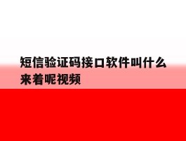 短信验证码接口软件叫什么来着呢视频
