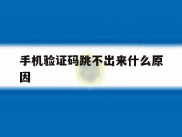 手机验证码跳不出来什么原因