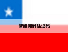 智能接码验证码