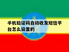 手机验证码自动收发短信平台怎么设置的