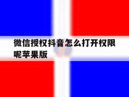 微信授权抖音怎么打开权限呢苹果版的简单介绍
