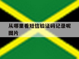 从哪里看短信验证码记录呢图片