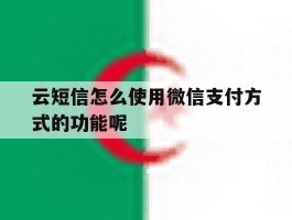 云短信怎么使用微信支付方式的功能呢