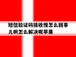 包含短信验证码接收慢怎么回事儿啊怎么解决呢苹果的词条