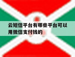 包含云短信平台有哪些平台可以用微信支付钱的的词条