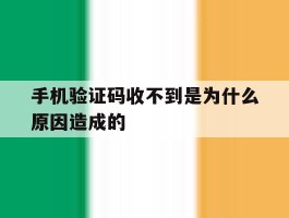 手机验证码收不到是为什么原因造成的