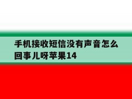 包含手机接收短信没有声音怎么回事儿呀苹果14的词条