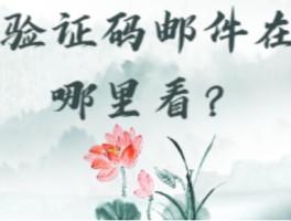 接码邮箱平台官网下载安装