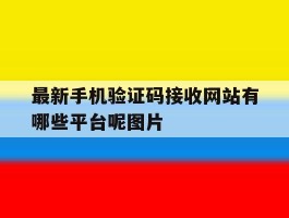 最新手机验证码接收网站有哪些平台呢图片的简单介绍