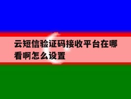 云短信验证码接收平台在哪看啊怎么设置