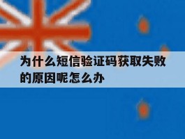 包含为什么短信验证码获取失败的原因呢怎么办的词条