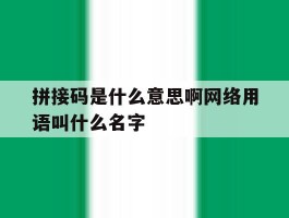 包含拼接码是什么意思啊网络用语叫什么名字的词条