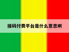 接码付费平台是什么意思啊