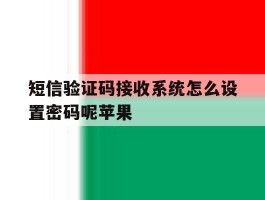 短信验证码接收系统怎么设置密码呢苹果