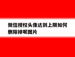 微信授权头像达到上限如何删除掉呢图片的简单介绍