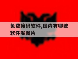 免费接码软件,国内有哪些软件呢图片