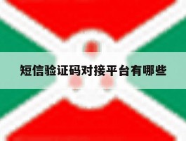 短信验证码对接平台有哪些