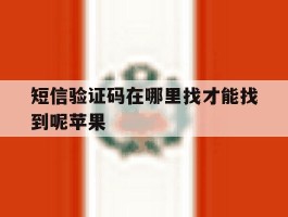短信验证码在哪里找才能找到呢苹果