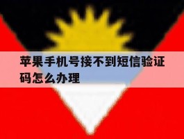 苹果手机号接不到短信验证码怎么办理