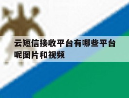 包含云短信接收平台有哪些平台呢图片和视频的词条
