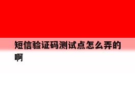 包含短信验证码测试点怎么弄的啊的词条