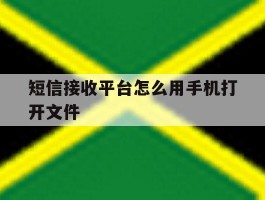短信接收平台怎么用手机打开文件