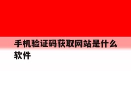 手机验证码获取网站是什么软件