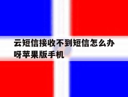 包含云短信接收不到短信怎么办呀苹果版手机的词条