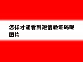 怎样才能看到短信验证码呢图片