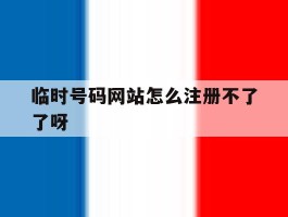 临时号码网站怎么注册不了了呀