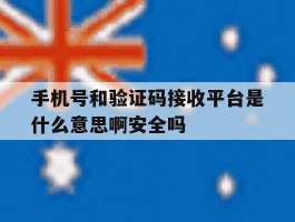 手机号和验证码接收平台是什么意思啊安全吗的简单介绍