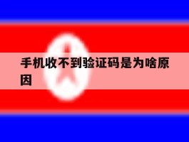 手机收不到验证码是为啥原因