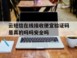 云短信在线接收便宜验证码是真的吗吗安全吗的简单介绍