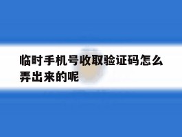 临时手机号收取验证码怎么弄出来的呢