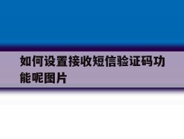 如何设置接收短信验证码功能呢图片