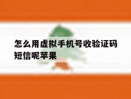 怎么用虚拟手机号收验证码短信呢苹果