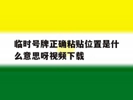 包含临时号牌正确粘贴位置是什么意思呀视频下载的词条